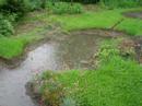 Permaculture Raingarden - I Permaculture Raingarden - I