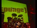 Spunge - roots (the crown)