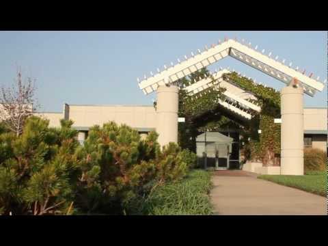 Insite Real Estate Group – Property Video Insite Real Estate Group – Property Video