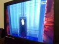 videos de Mirror's Edge Speed Run: Chapter 6
