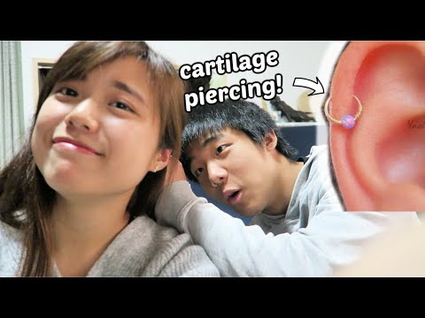 動画