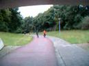 Cycle path in Assen, Netherlands