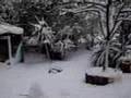 SNOW-IN-ATHENS-2008-