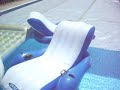 Click here to watch this video Dexter and Cocoa having a pool party.