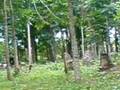 Airsoft - Palhe