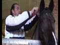 Horse plaiting device in action (Lincolnshire Echo) Horse plaiting device in action (Lincolnshire Echo)