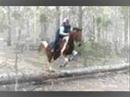 Standardbreds being underestimated TOO MUCH!! Standardbreds being underestimated TOO MUCH!!