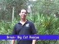 Being a hero for the animals is a 24-7 responsibility. And it can be a lot of fun as well!  In this off beat video we see three examples of what it takes to do right for the animals.In the first part we take at look at what happens when our long time manager Scott tries to go off grounds for just a second. His path crosses with a bird in need and returns to the sanctuary to become the 
