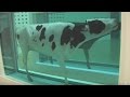 TateShots Issue 8 - Turner Prize Highlights