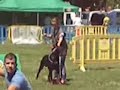 26� Exposi��o Nacional de Sintra