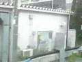 東京競馬場動画14