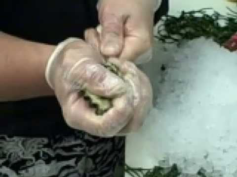 how to open oysters