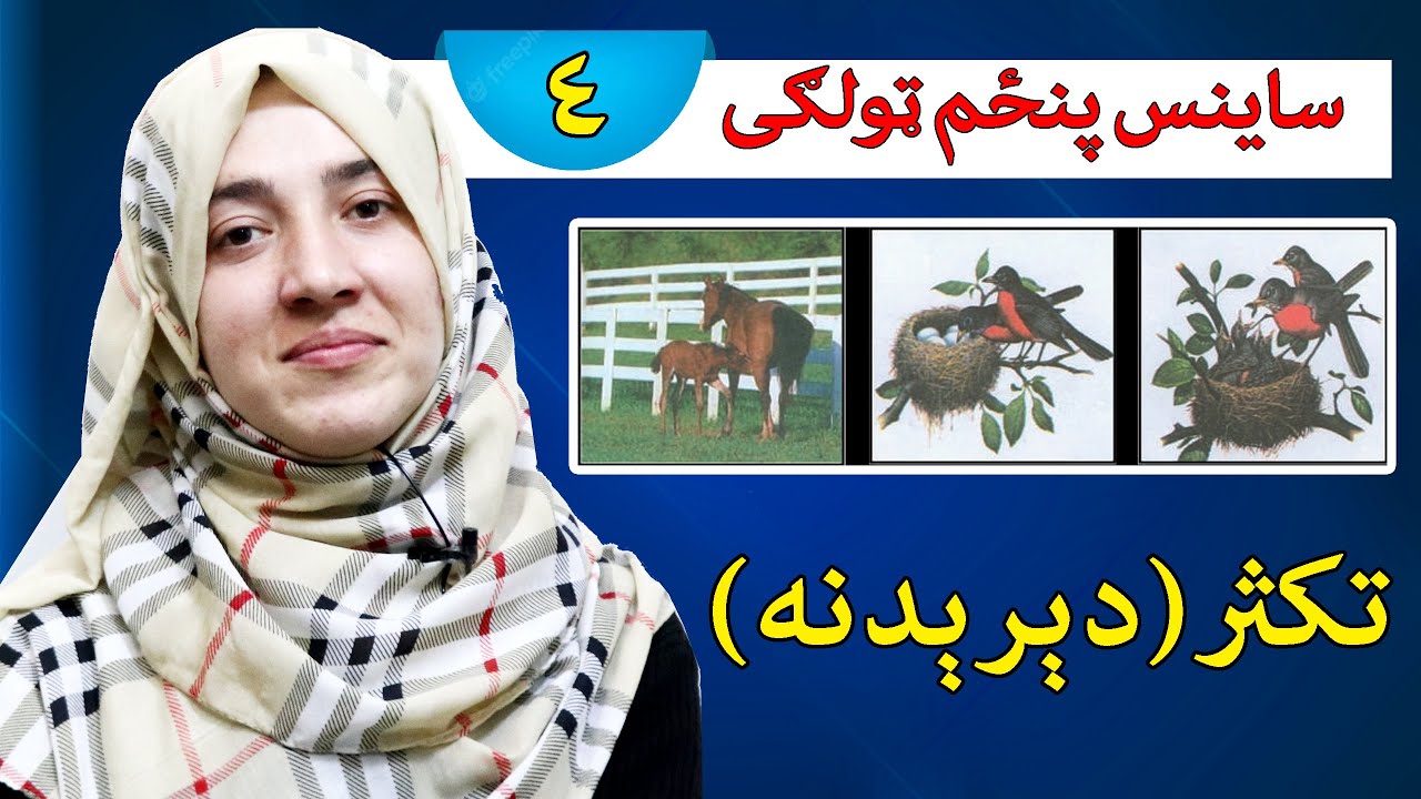 Class 5 - Science | Plurality | Importance of plurality on animals