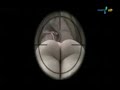 YouTube July Panicat Juliana Salimeni XXX HOT XX Panico na TV