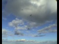 Molnflygning, Gryttjom 2004