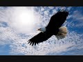 Wind Beneath My Wings- Bette Midler