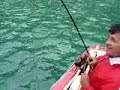 pesca pumalal