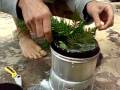 videos de CIMG6222.AVI