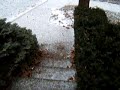 Thunder Sleet