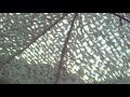 Temazo + desfase en Bbme mojacar