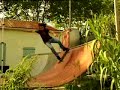 mofo is back - guillaume finck