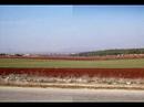 siria2