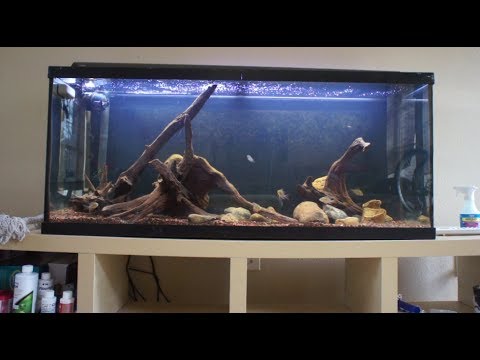 how to get wood to sink in aquarium