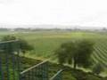 Sonoma Valley Wine Tasting Tour - Gloria Ferrer Winery