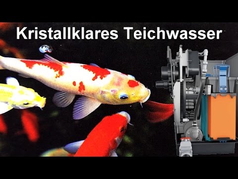 Neuer Trommelfilter Kompakter HochleistungsTeichfilter mit