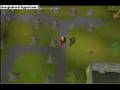 videos de runescape 5 facts about eliasjhr2