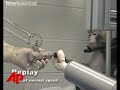 raw-video-monkey-eats-with-robotic-arm.html