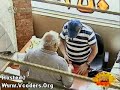 Rabtit khebez - 31 July (Njoum L DOHOR)