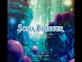Soma Bringer OST - Threatening Yell