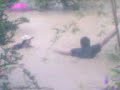 banjir di kota marudu