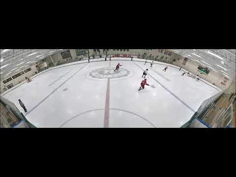 #21 Porter Byrd-Leitner Lawrenceville goal for 2-1 lead over Hill in TNPHL finals