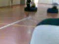 in palestra