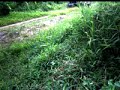 4WD in West Kalimantan 1