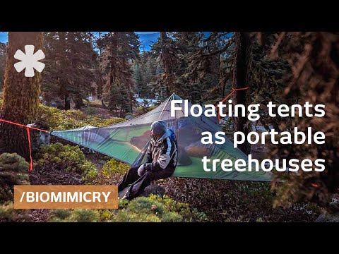 Tentsile tree tents: floating treehouses mimic spider webs