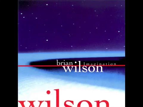 Brian Wilson - South American lyrics