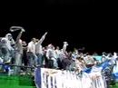 morri i kuq - TIRONA (4)