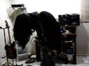 Porcupine Tree The Pills I'm Taking (Anesthetize 2nd. part) cover by Sound Sickness