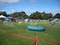 AKC Trial -- Mission Poodle Dog Agility Trial