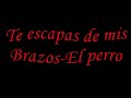 El Perro con sentimiento.