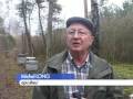 Aube : Les abeilles en danger!