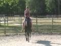 Bridleless Riding with Bullet