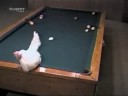 kodi biliard....
