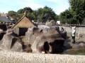 大浜公園のサル 清掃中