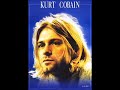 lailson kurt-(nirvana-inbloon)