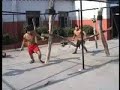 Monkey Style Kung Fu