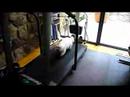 Daisy on the Treadmill